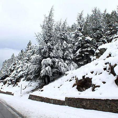 Surynieve Zona Media Sierra Nevada